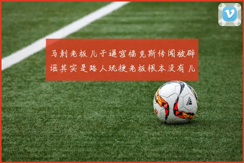 马刺老板儿子逼宫福克斯传闻被辟谣其实是路人玩梗老板根本没有儿子