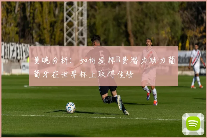 曼晚分析：如何发挥B费潜力助力葡萄牙在世界杯上取得佳绩