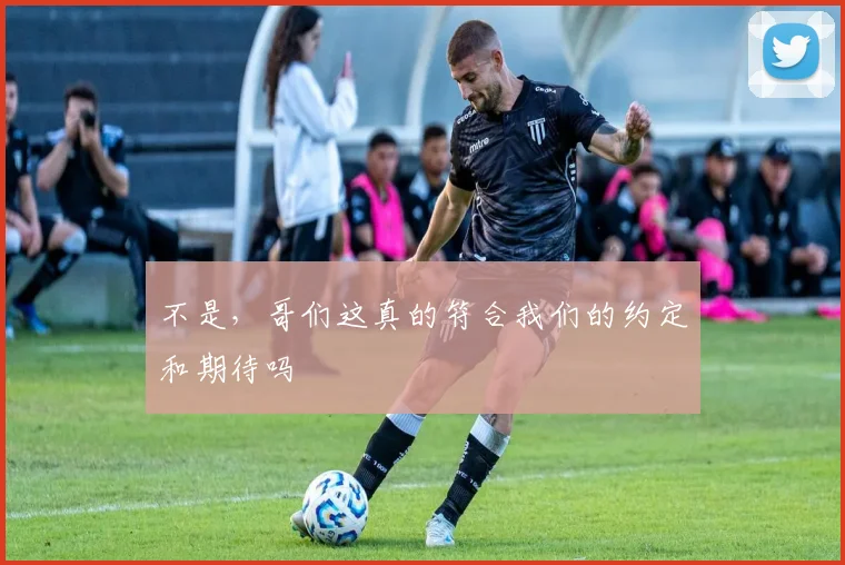 不是，哥们这真的符合我们的约定和期待吗